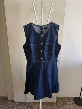 J. Crew Dark Blue Denim Button-Front Mini Dress
